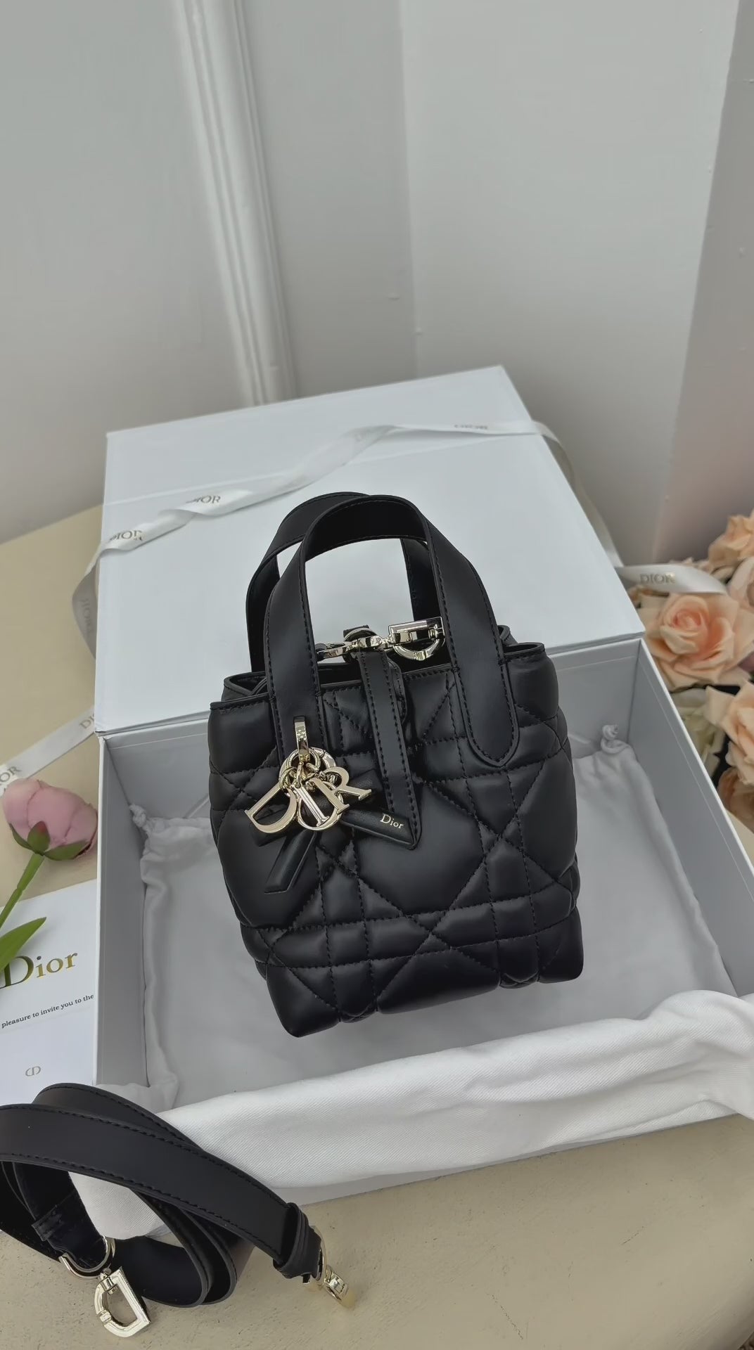 Dior Toujours Vertical Nano Tote Bag